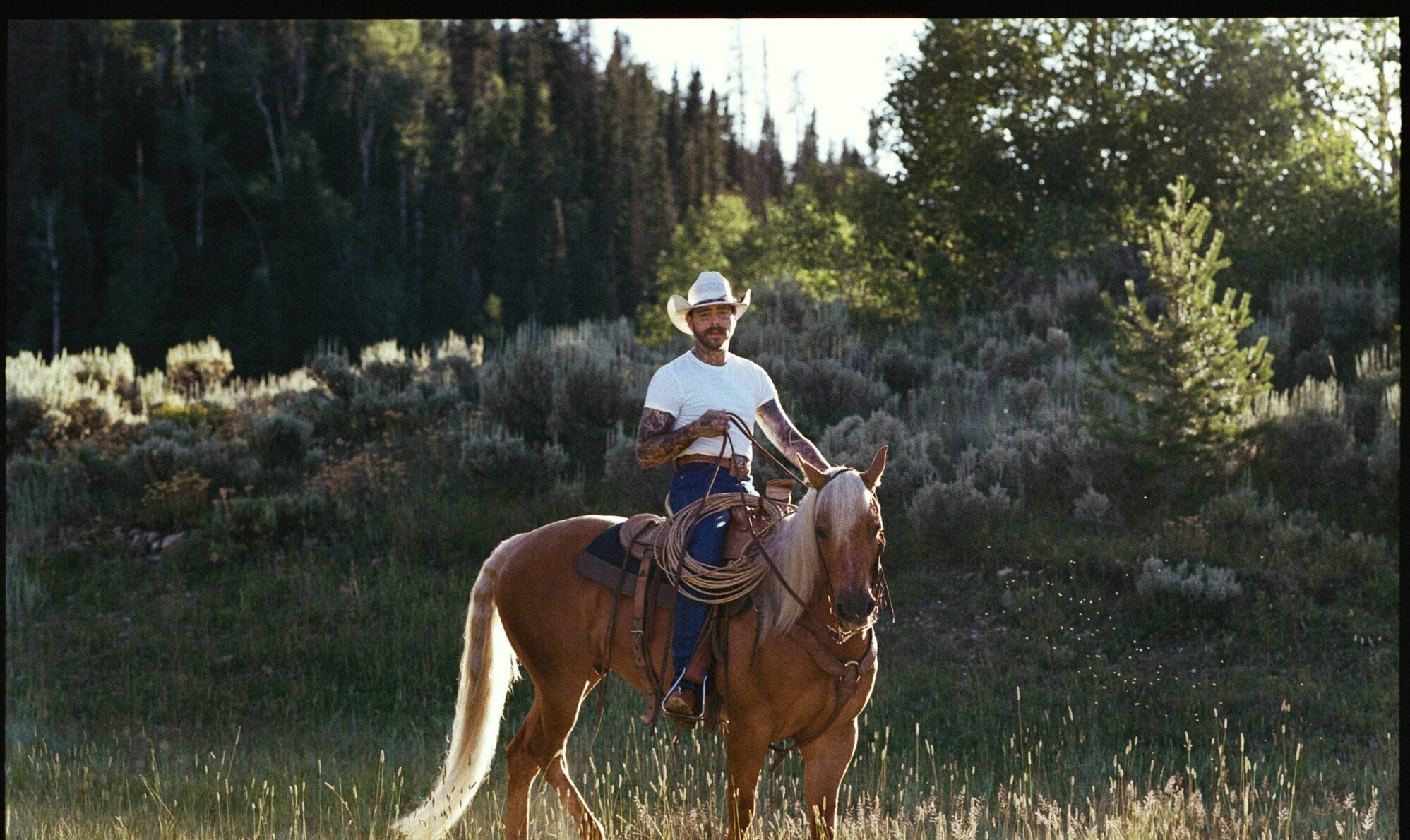 Wrangler